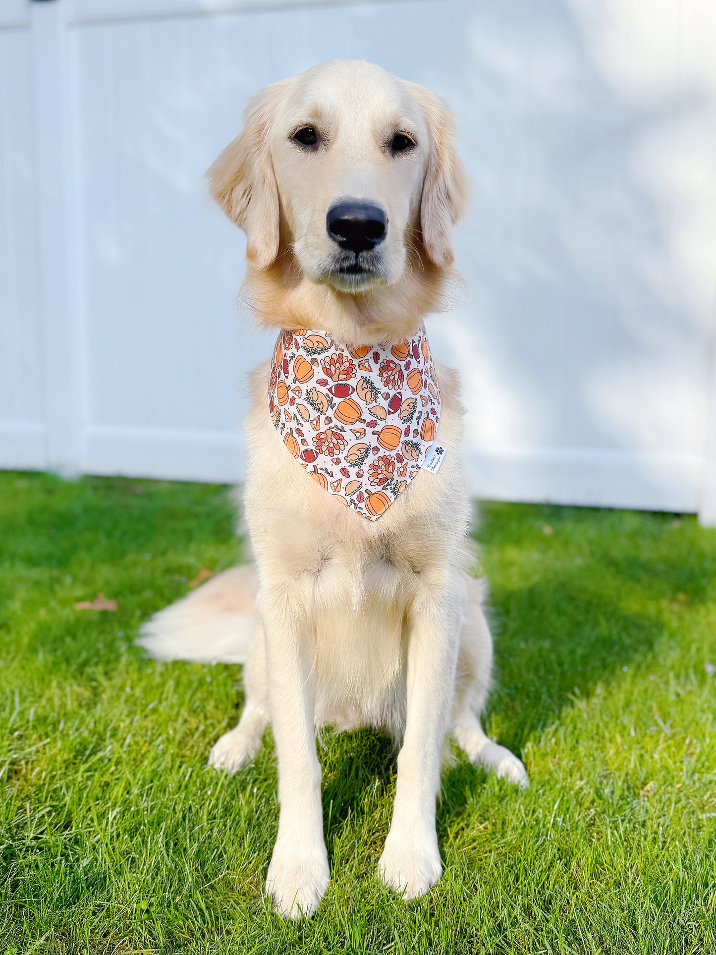 Thanksgiving Football and Plaid Bandana