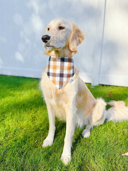 Fall Plaid And Thanksgiving Words Bandana