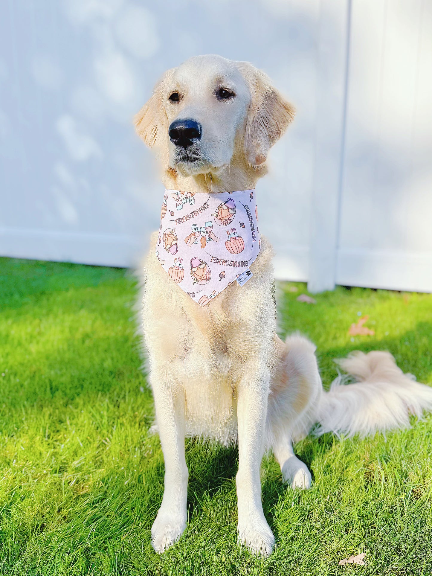 Friendsgiving Bandana