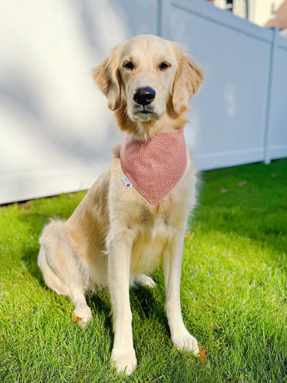 Friendsgiving Bandana