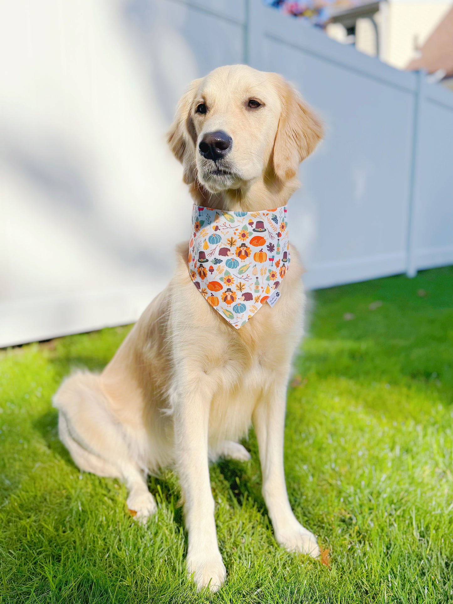 Thanksgiving Time Bandana