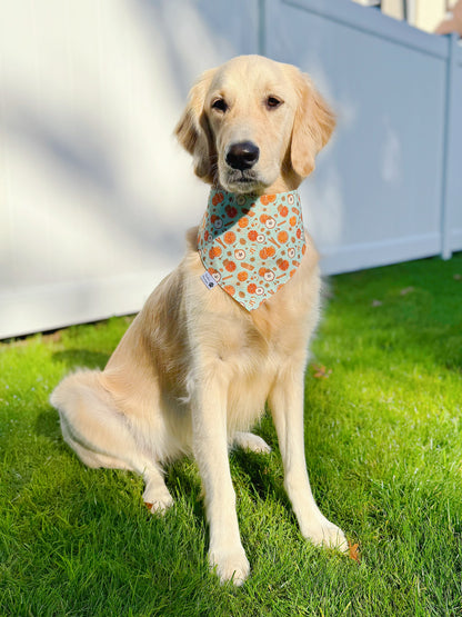 Thanksgiving Time Bandana