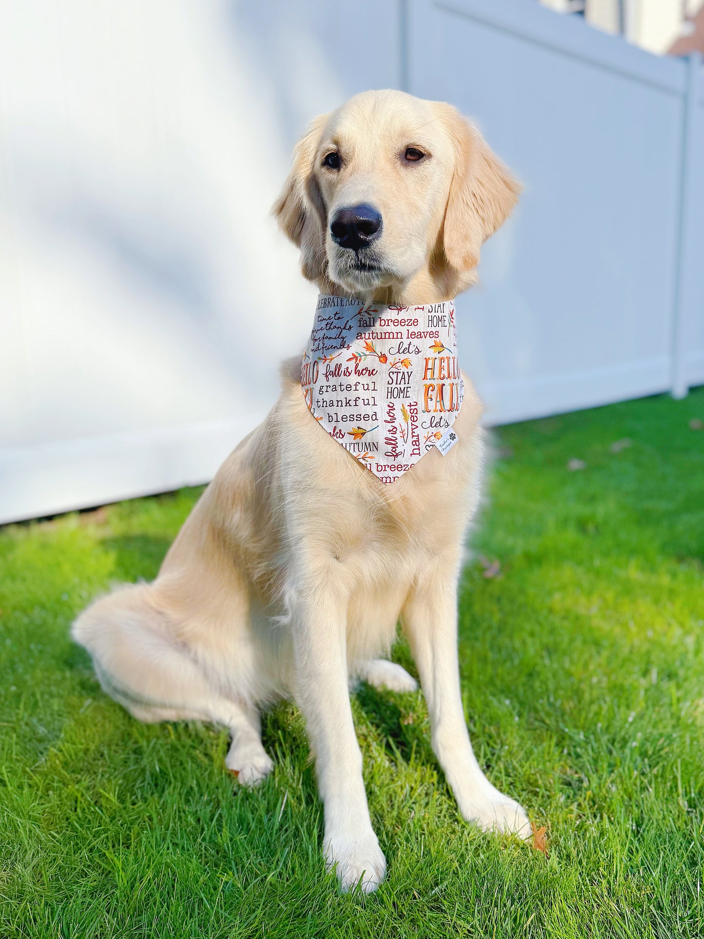 Fall Words Bandana