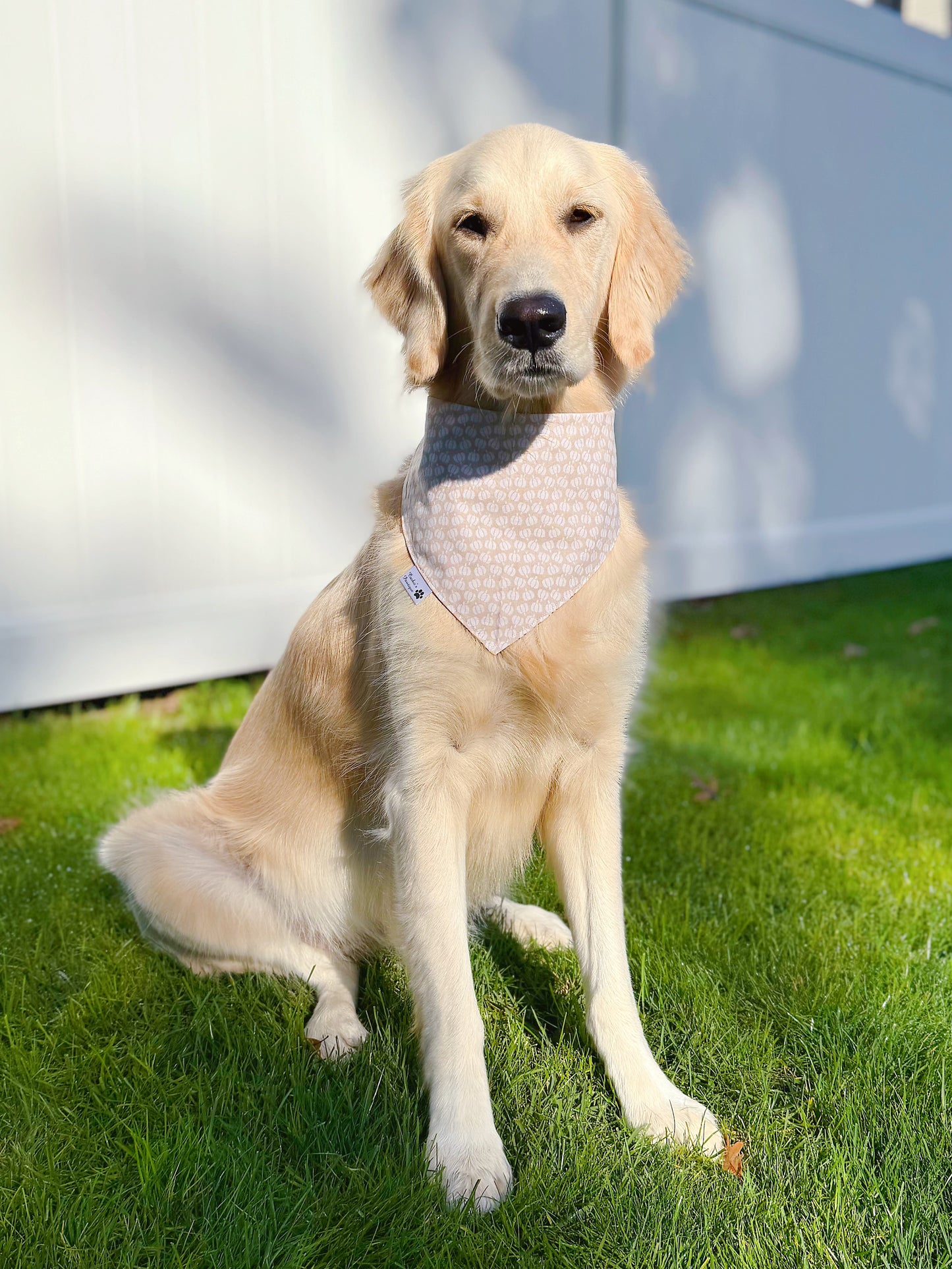 Fall Words Bandana