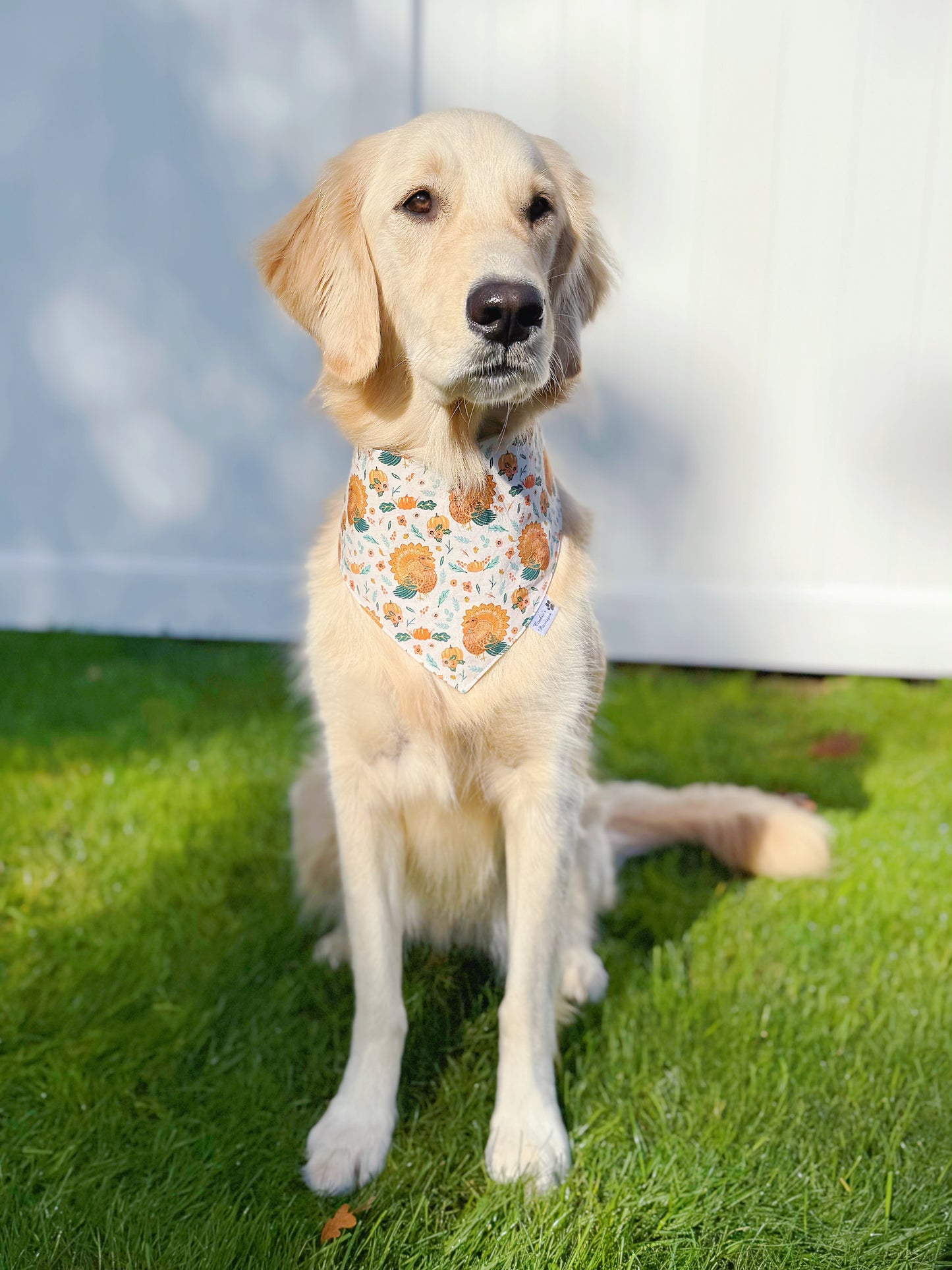 Turkeys and Floral Harvest Bandana