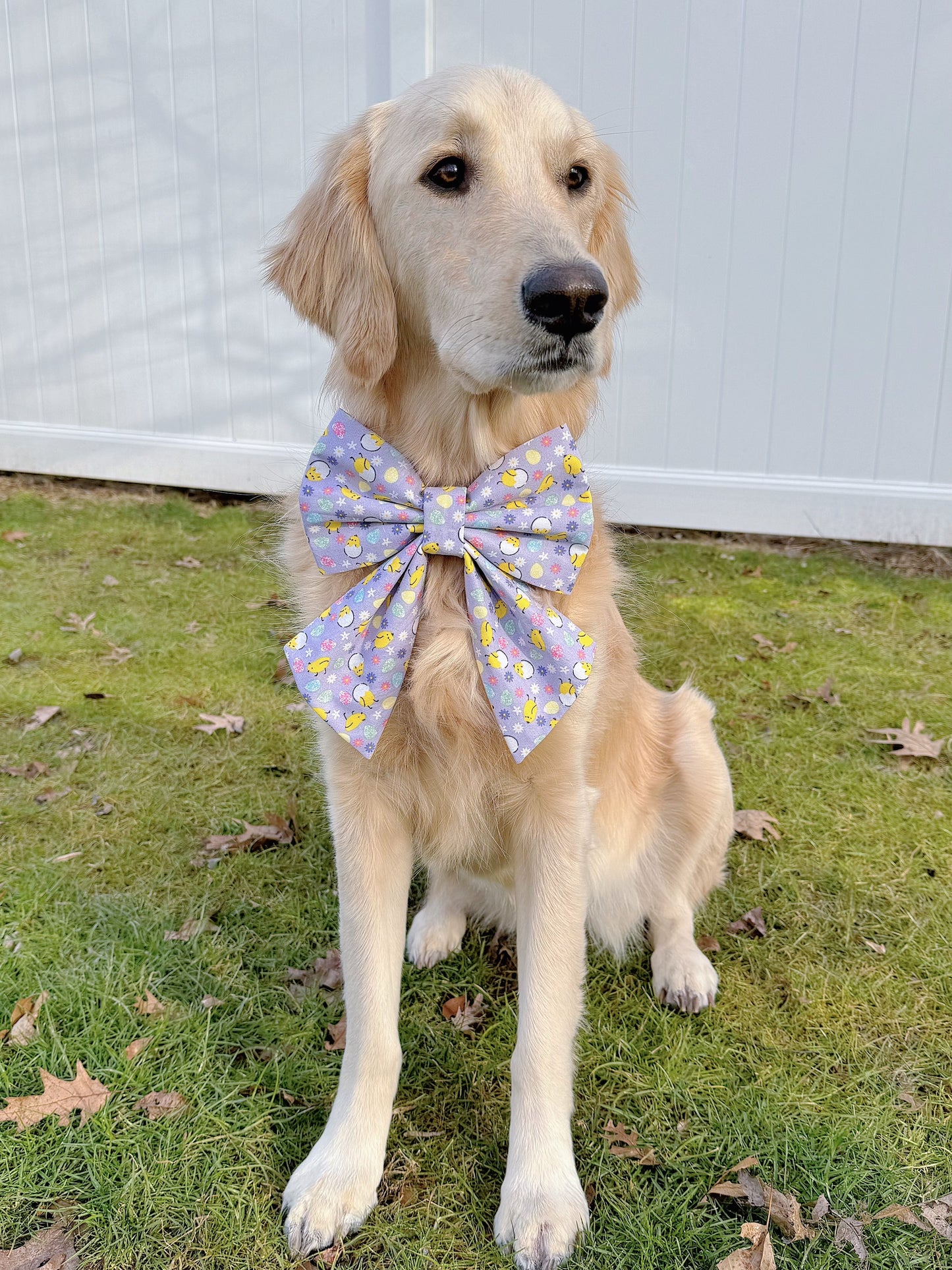 Easter Chicks And Eggs Bow