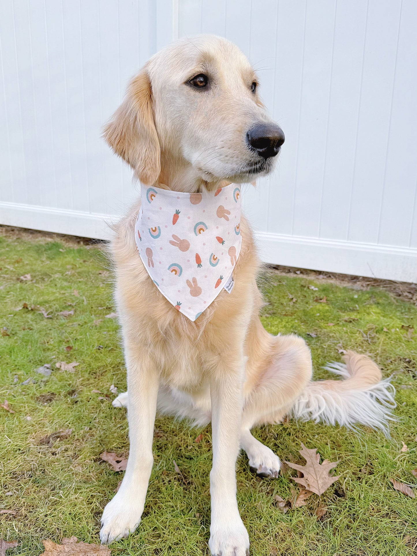 Boho Easter Bandana