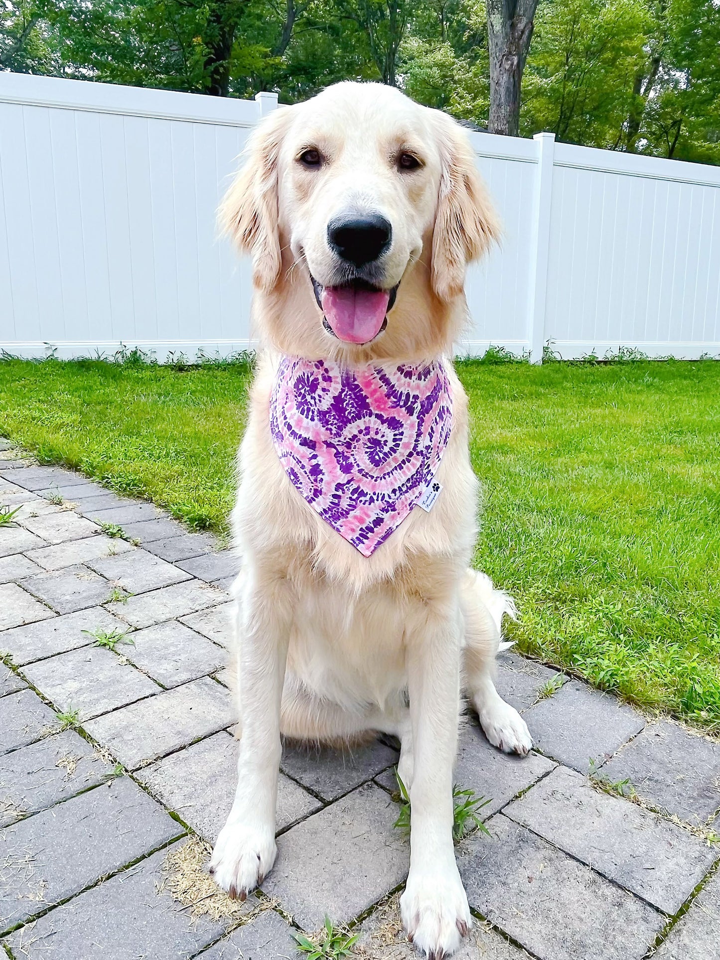 Tie Dye Bandana