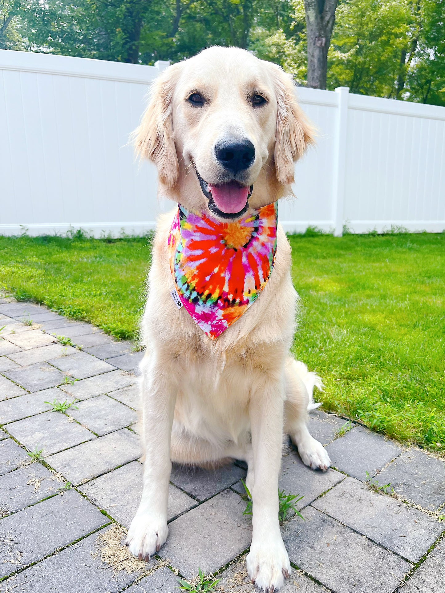 Tie Dye Bandana