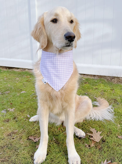 Easter Bunnies And Purple Gingham Bandana