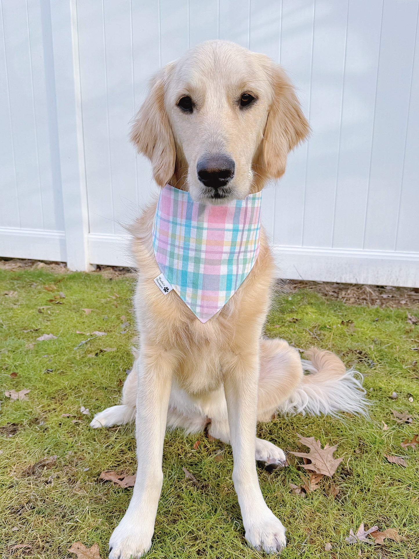 Easter Pup Cups And Pastel Plaid Bandana