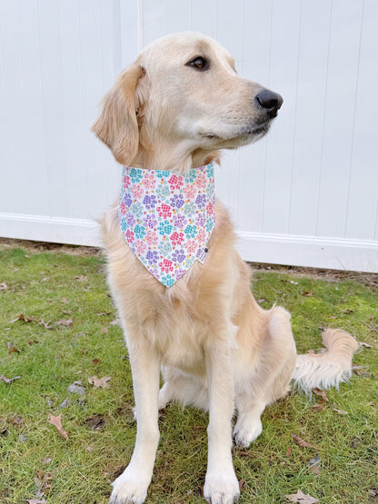 Purple Paw Prints And Plaid Bandana