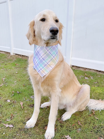 Purple Paw Prints And Plaid Bandana