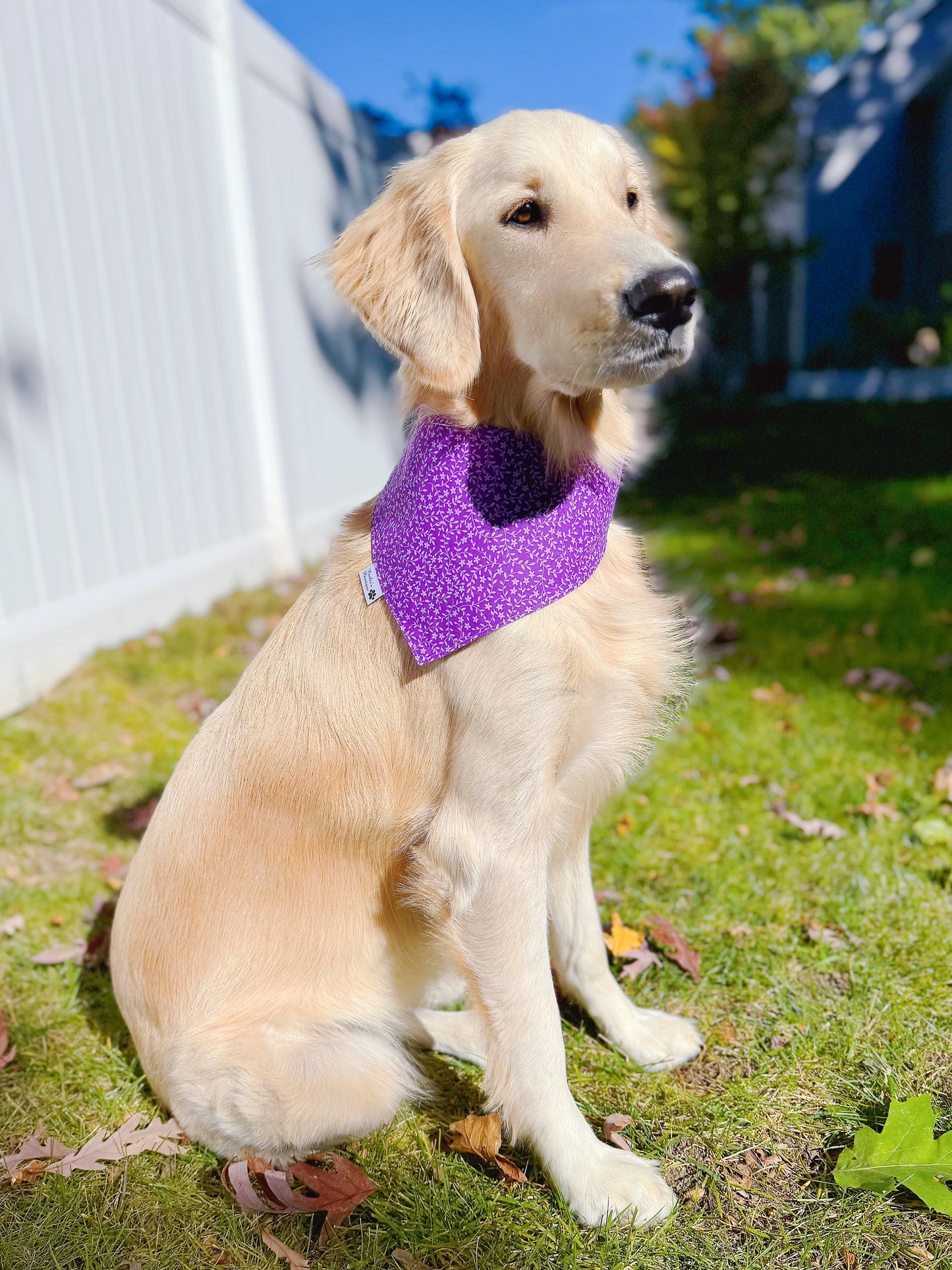 Purple Leaves and Ditsy Floral Bandana