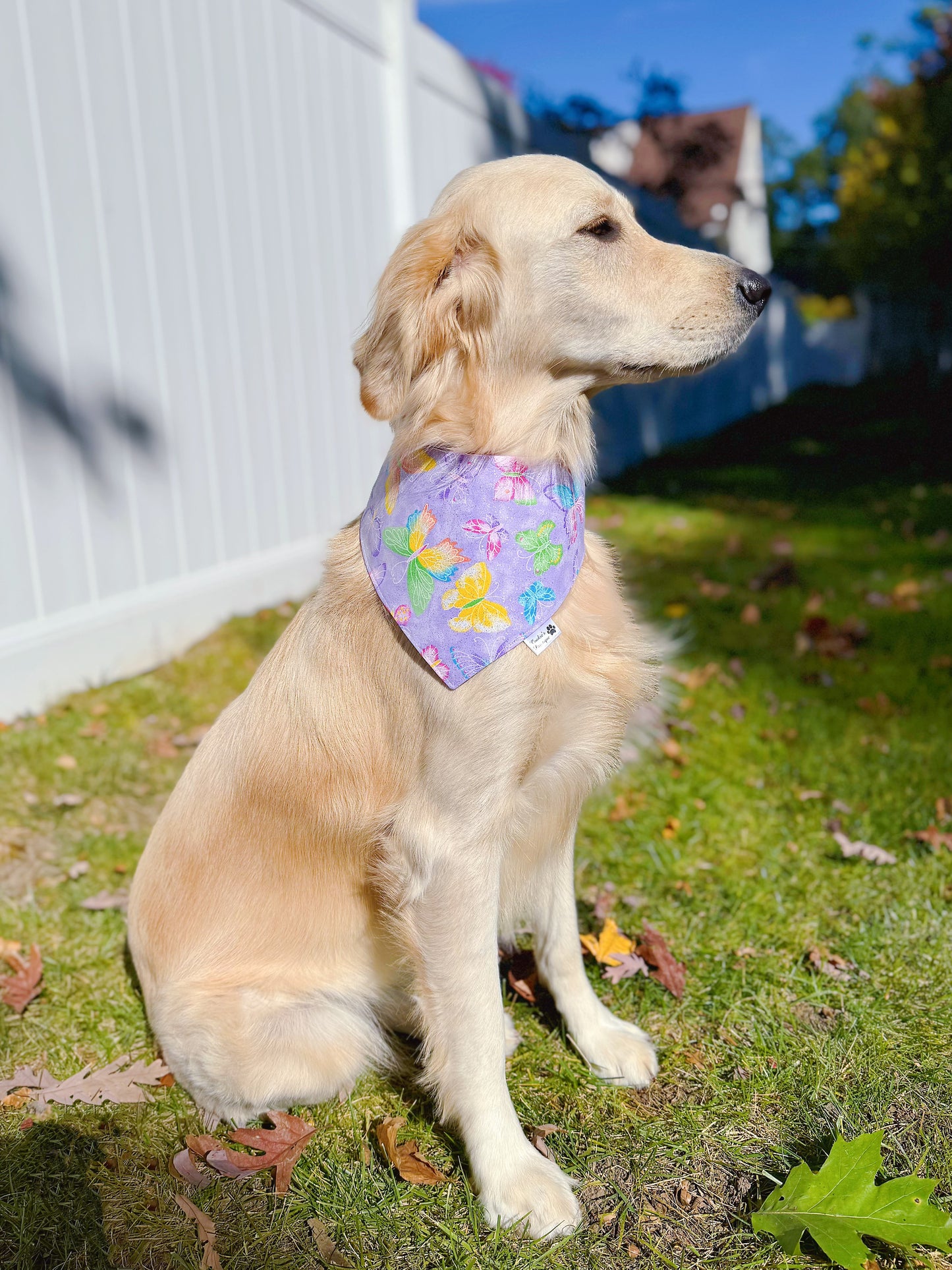 Glitter Butterflies and Hearts Bandana