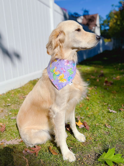 Glitter Butterflies and Hearts Bandana