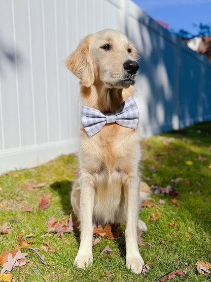 Purple Gingham Bow