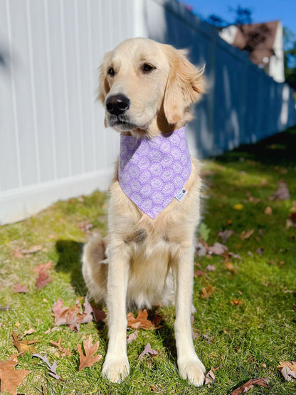 Floral Blooms On Lavender Bandana