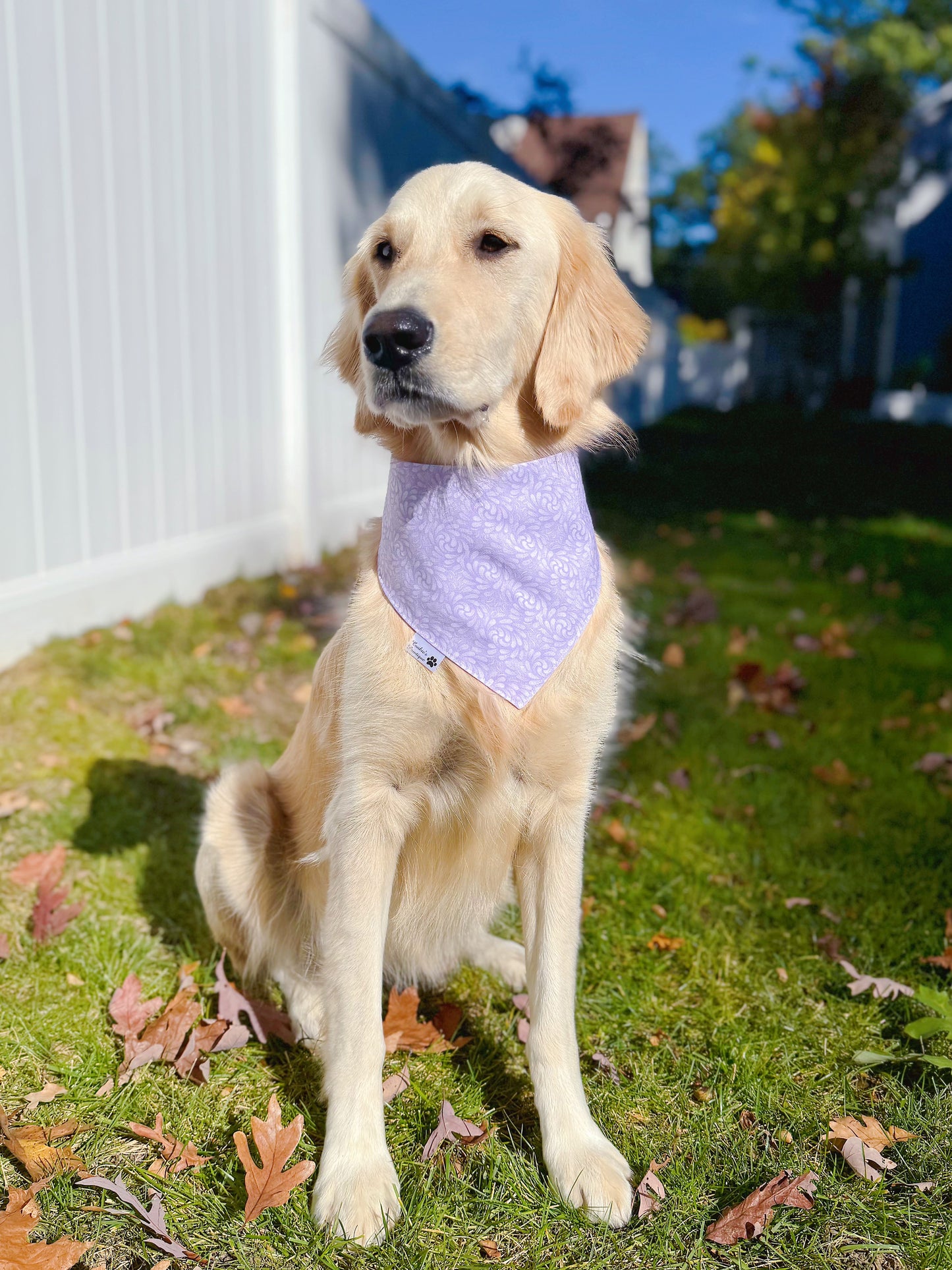 Floral Blooms On Lavender Bandana