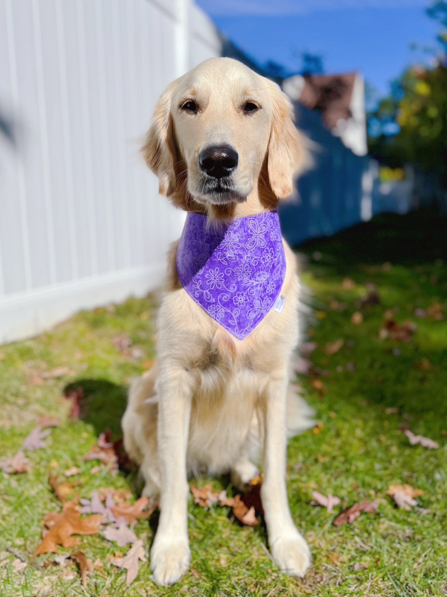 Butterflies and Flowers on Purple Bandana