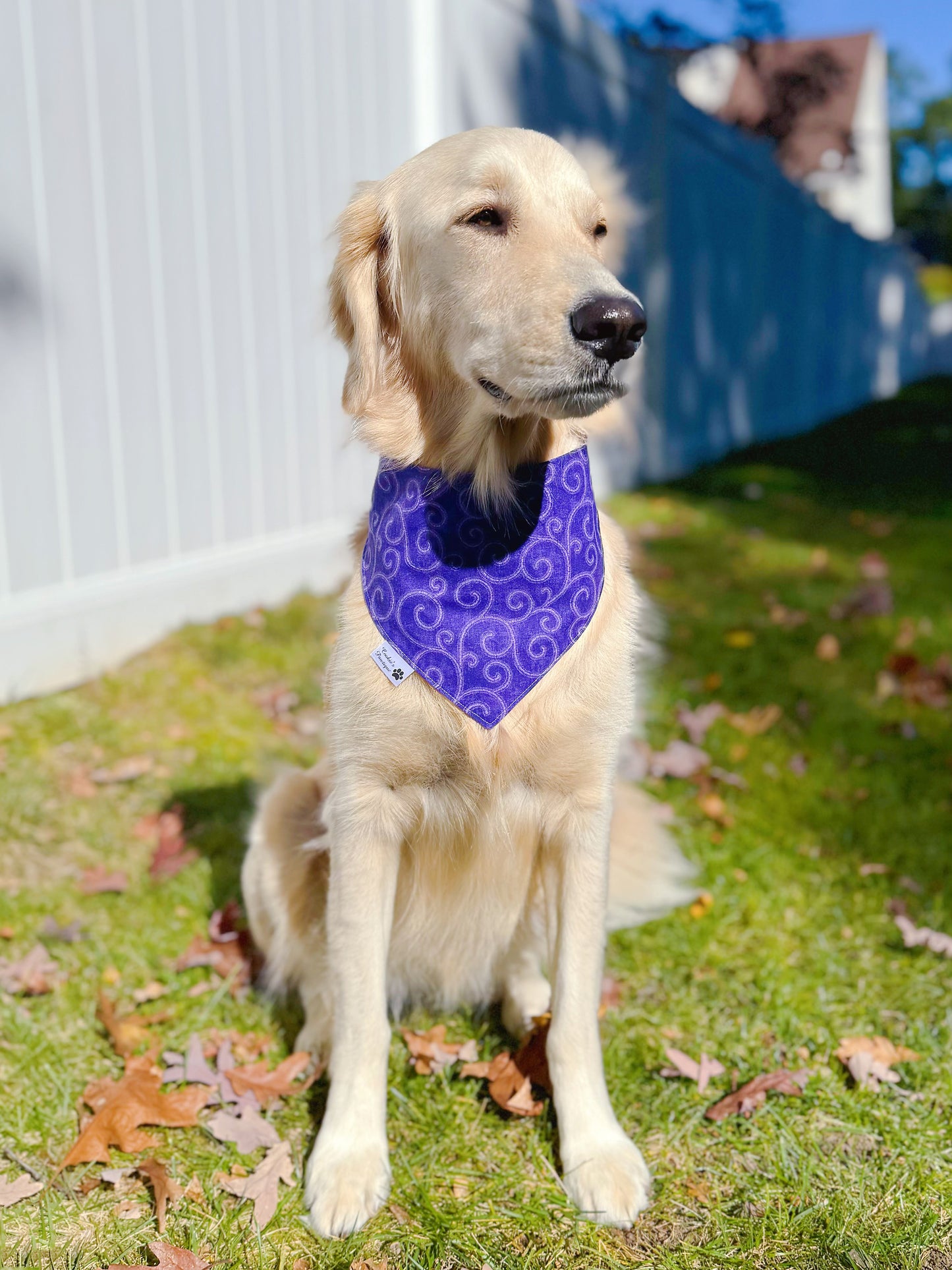 Butterflies and Flowers on Purple Bandana