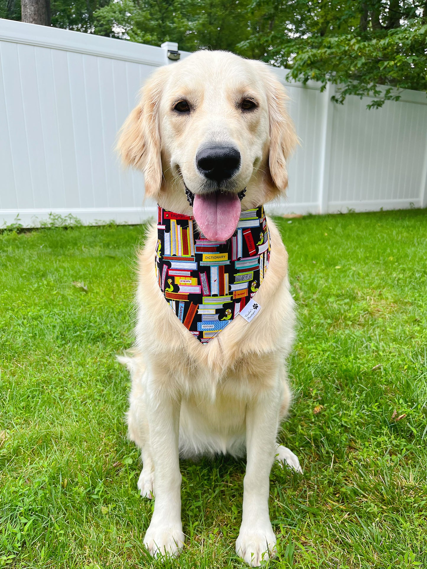 Bookworm And School Icons Bandana