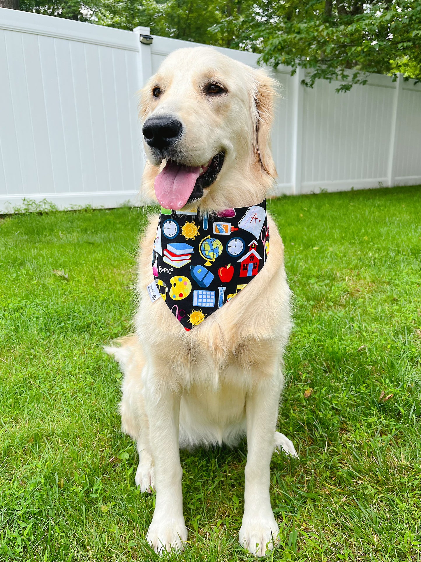 Bookworm And School Icons Bandana