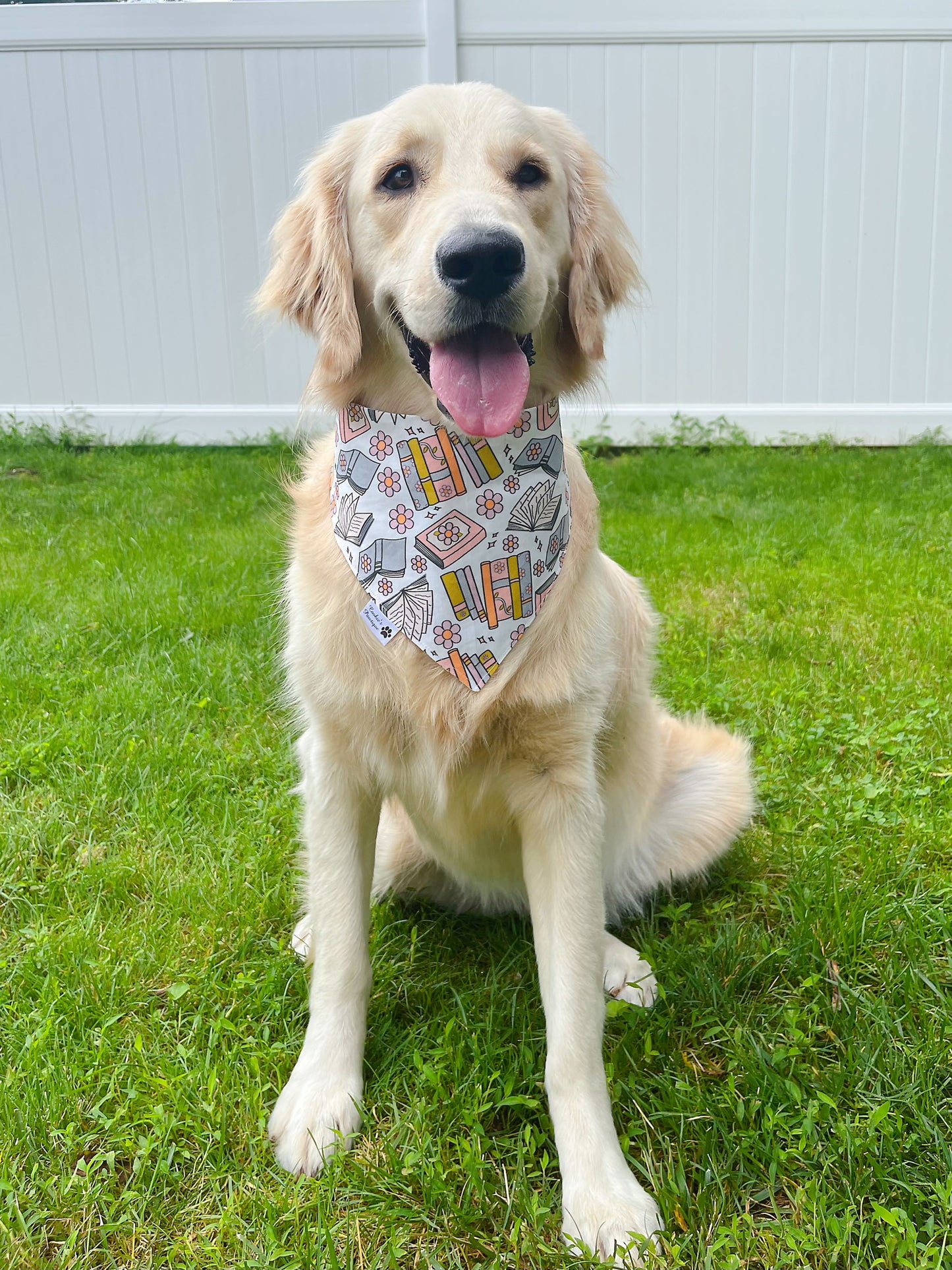 School Buses And Books Bandana