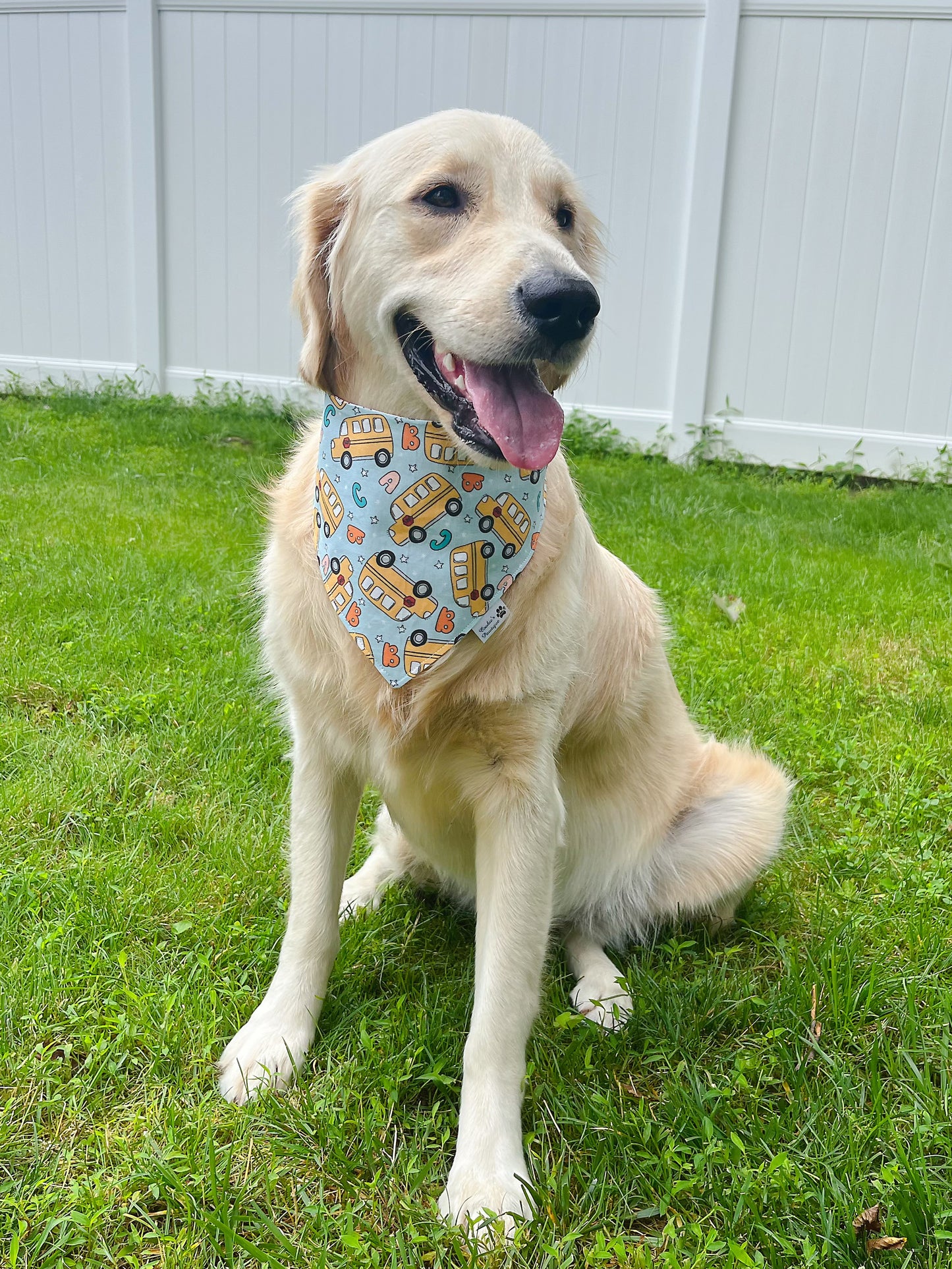 School Buses And Books Bandana