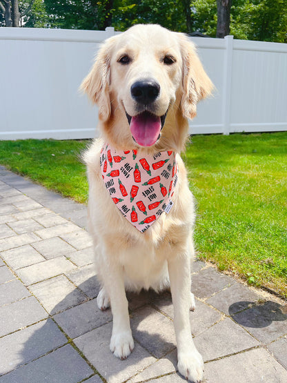 Hot Stuff Bandana