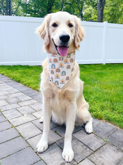 Boho Waves And Rainbows Bandana