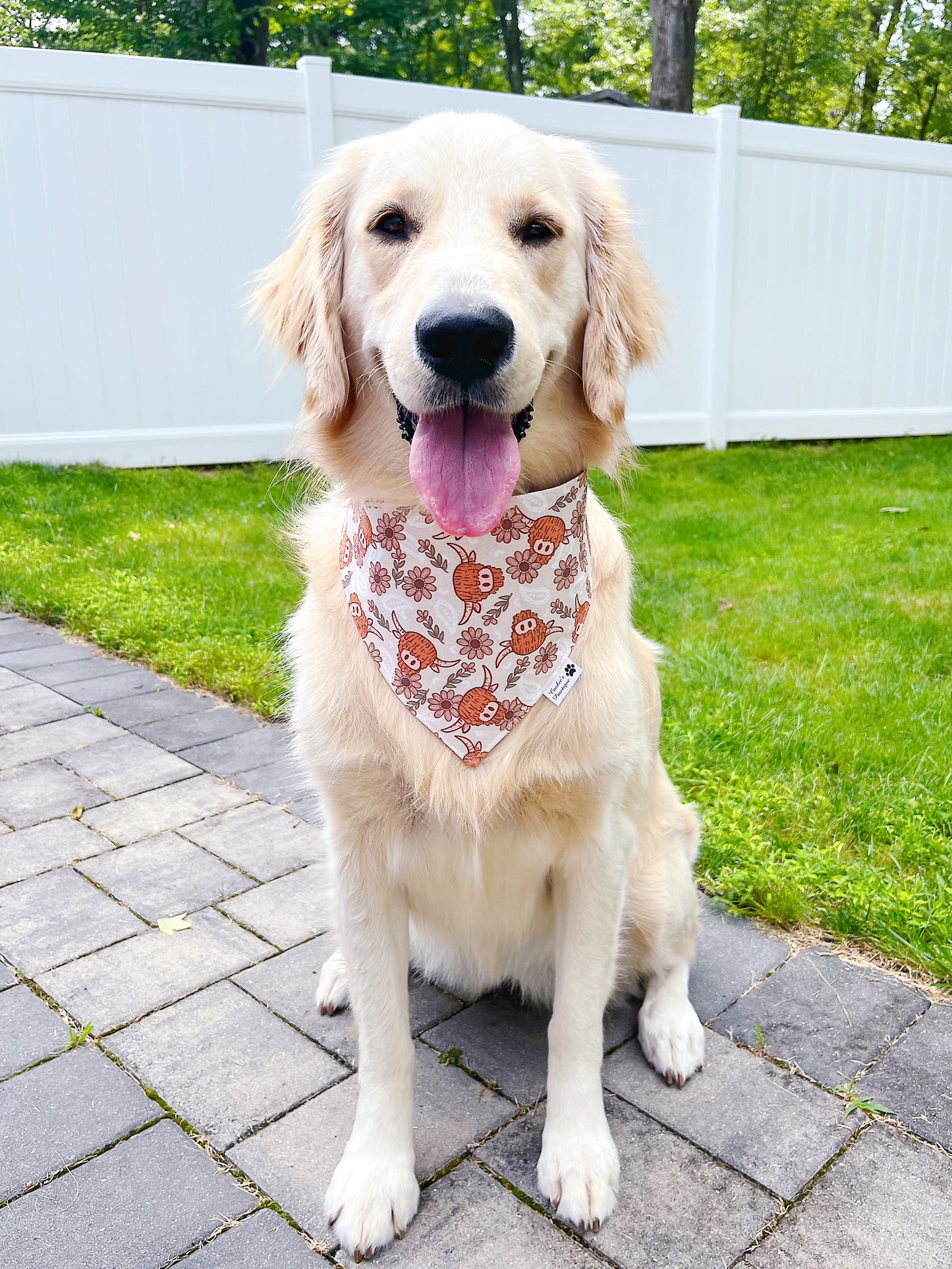 Boho Highland Cows Bandana