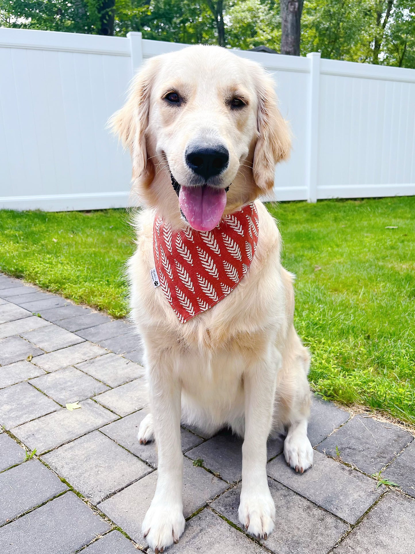 Boho Highland Cows Bandana