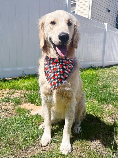 Watermelon On Black Plaid Bandana