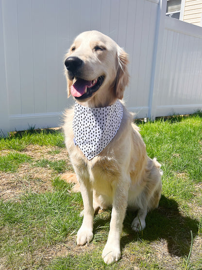 Watermelon On Black Plaid Bandana