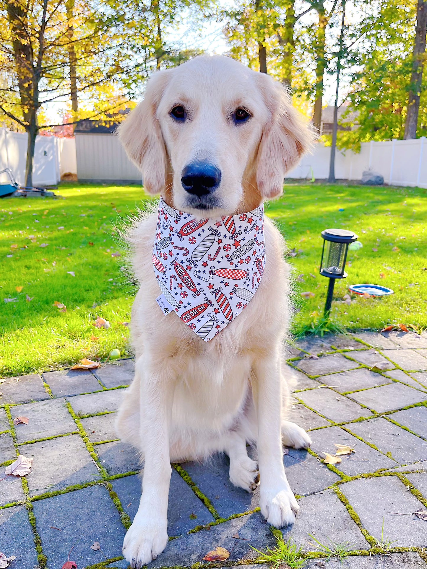 Dino Skater Holiday Bandana