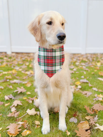 Holly Jolly Christmas Bandana