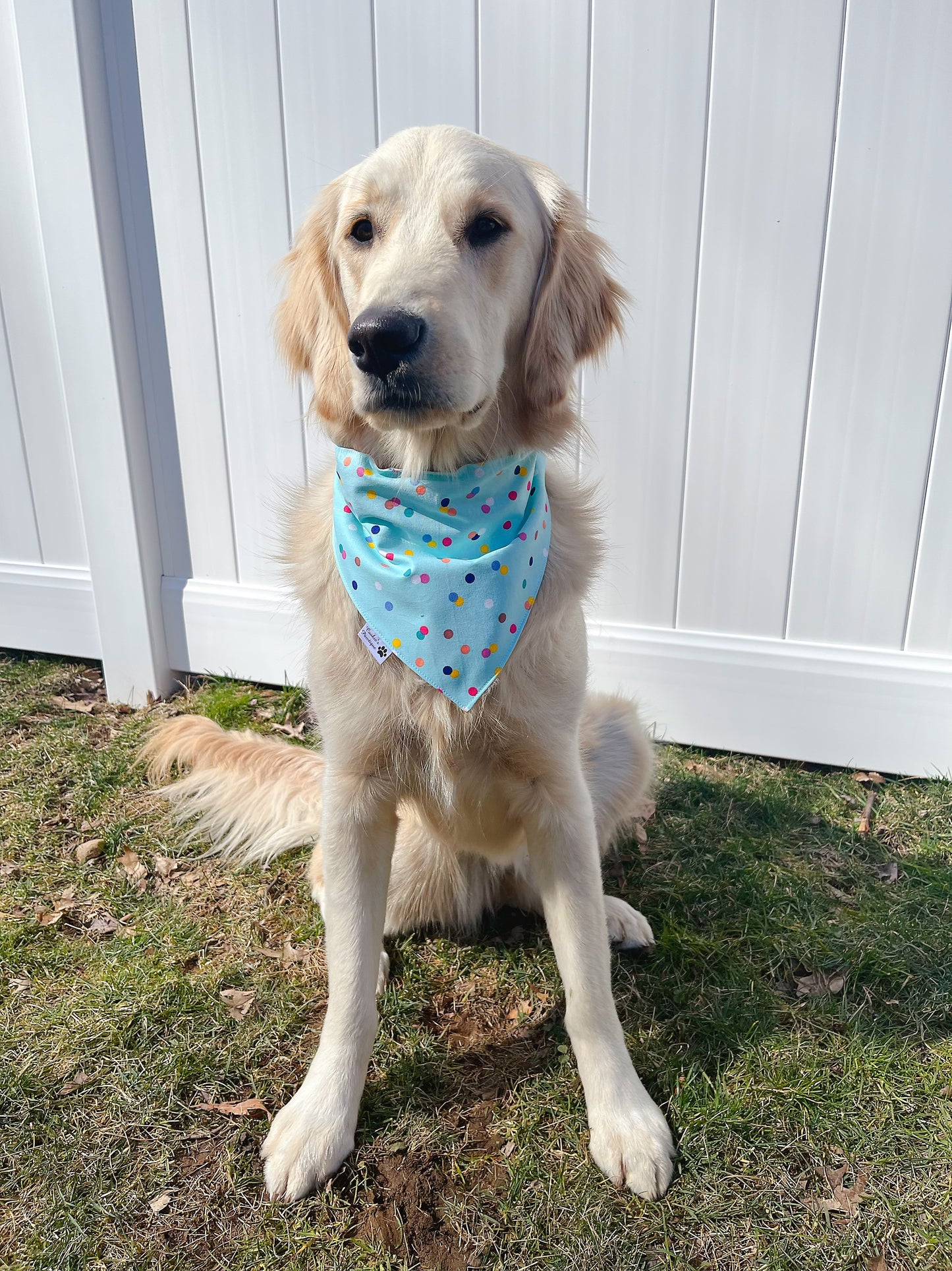 It's My Birthday Balloon Bandana