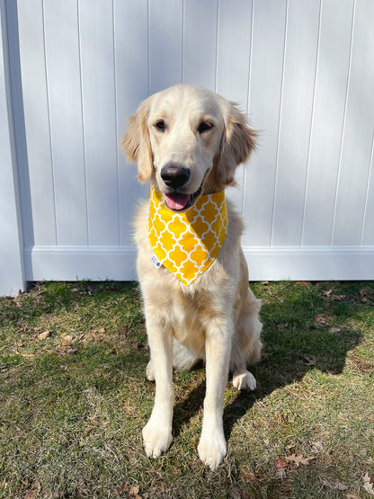 Happy Bee In Spring Bandana