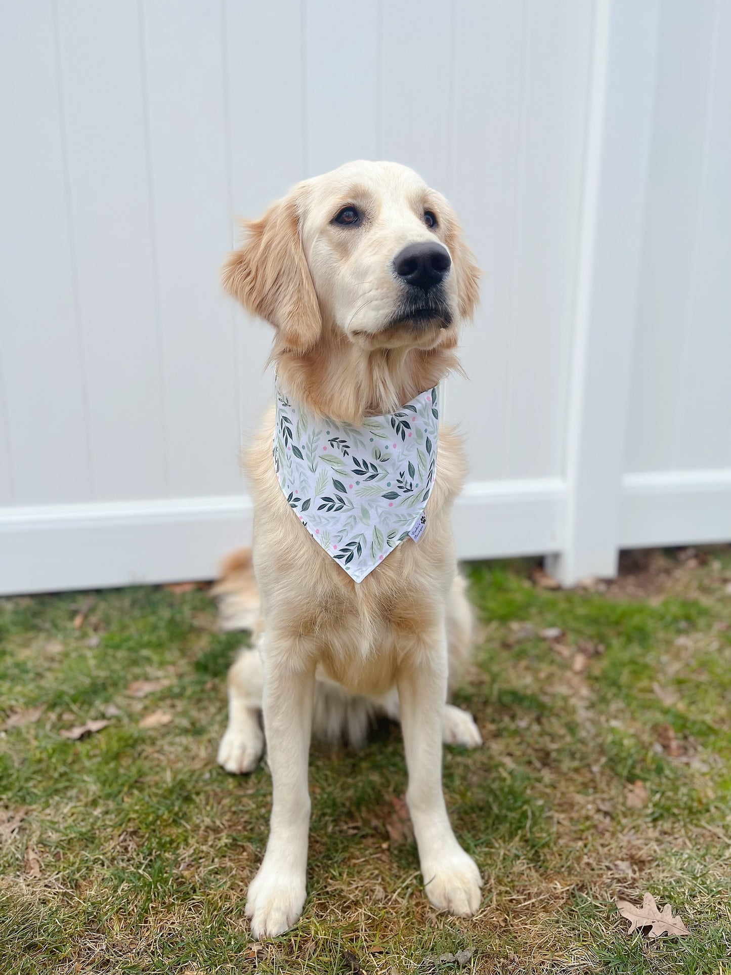 Sunflower Field and Spring Leaf Bandana