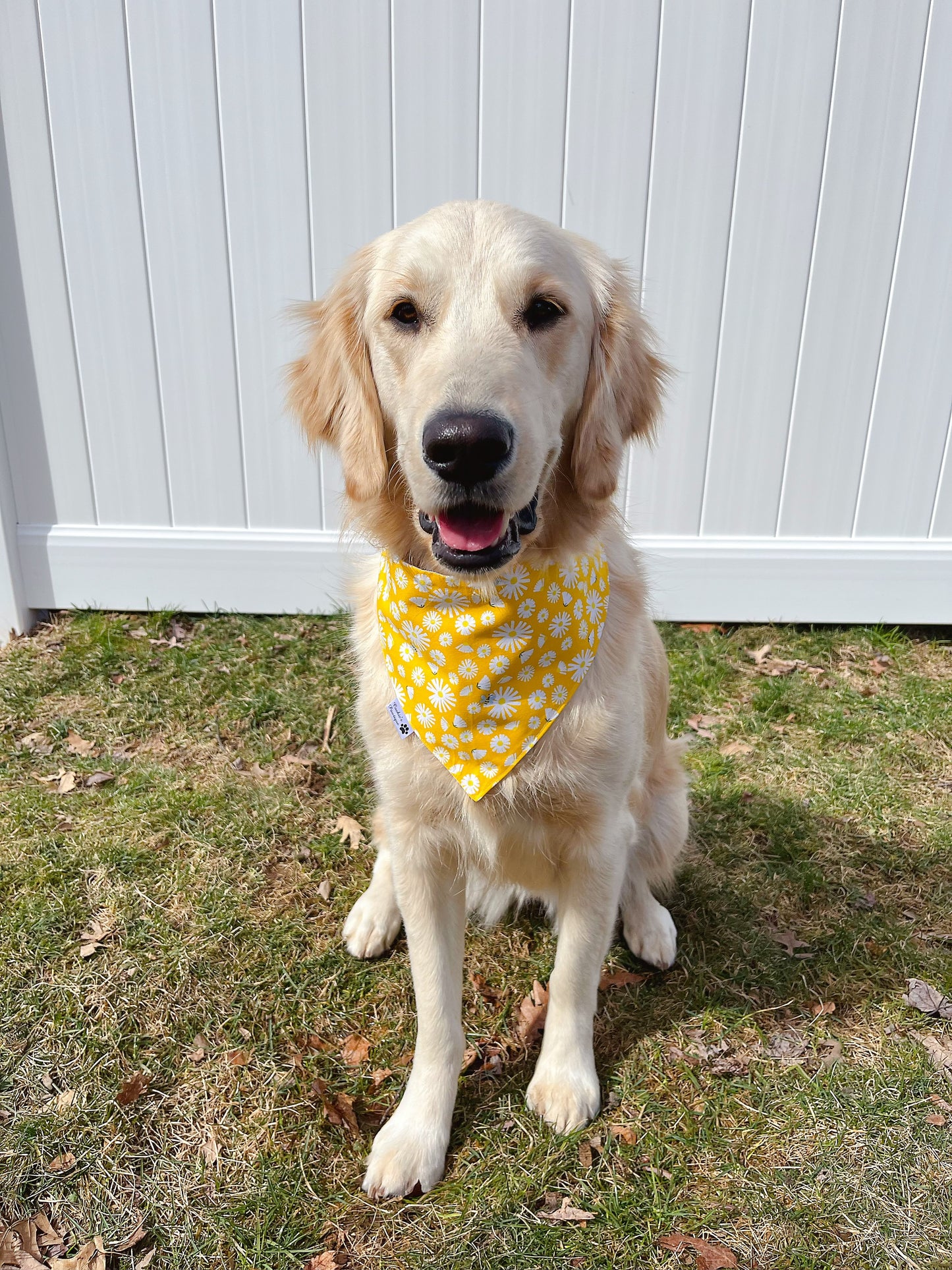 Purple And Yellow Daisy Bandana