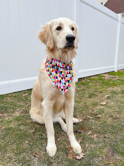 Cute Snoozy Owl Bandana