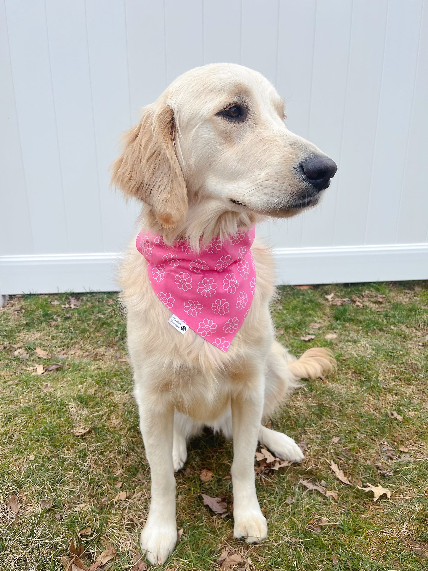 Good Girl and Smiley Daisy Bandana