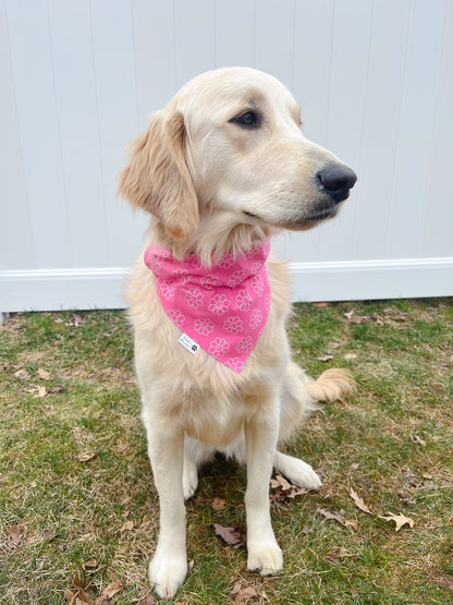 Good Girl and Smiley Daisy Bandana