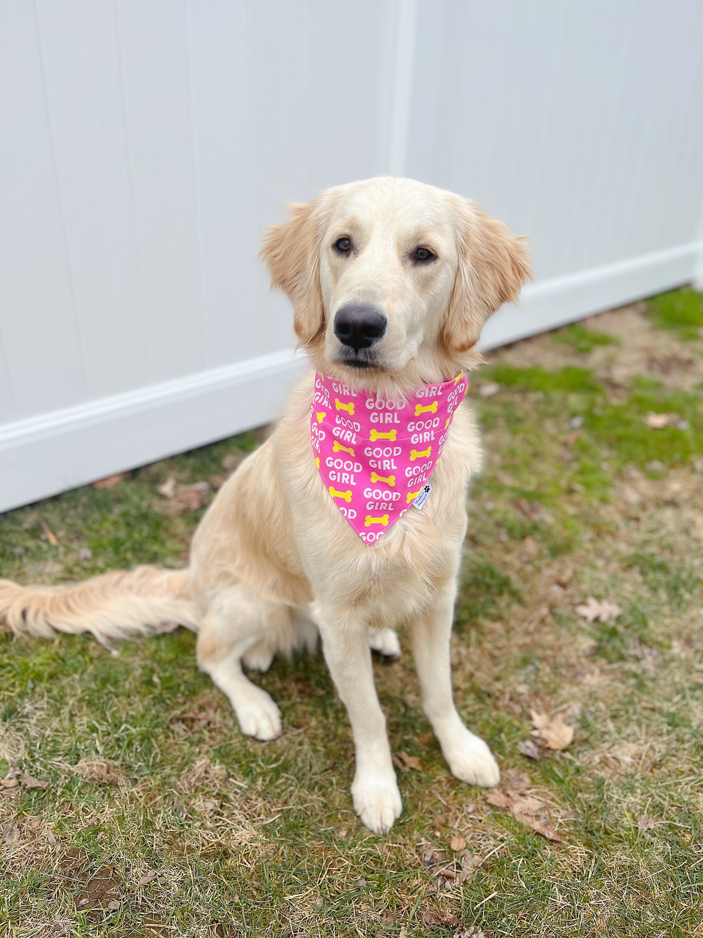 Good Girl and Smiley Daisy Bandana