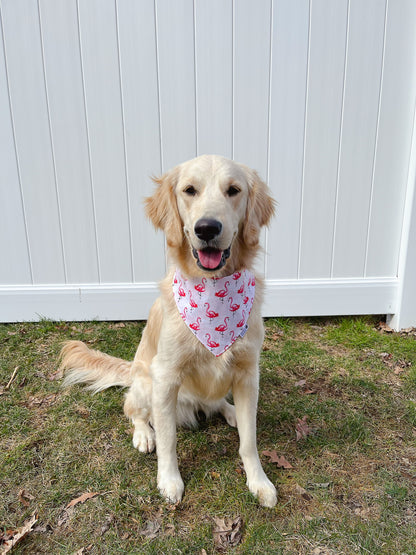 Flamingo And Little Rose Garden Bandana