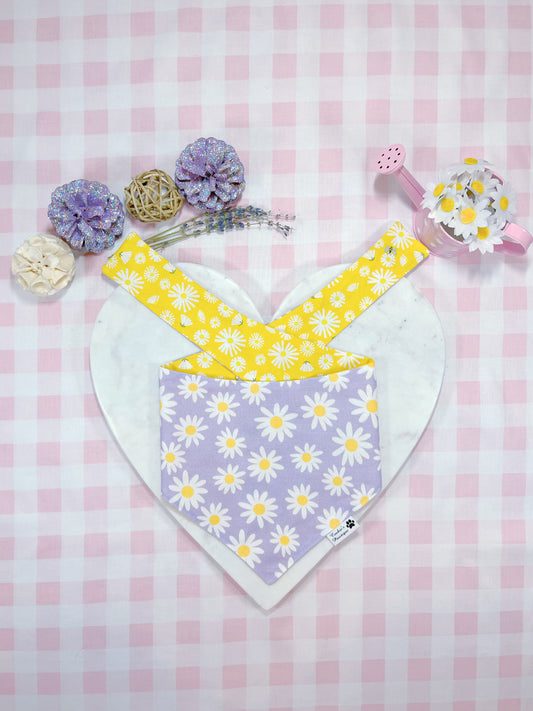 Purple And Yellow Daisy Bandana