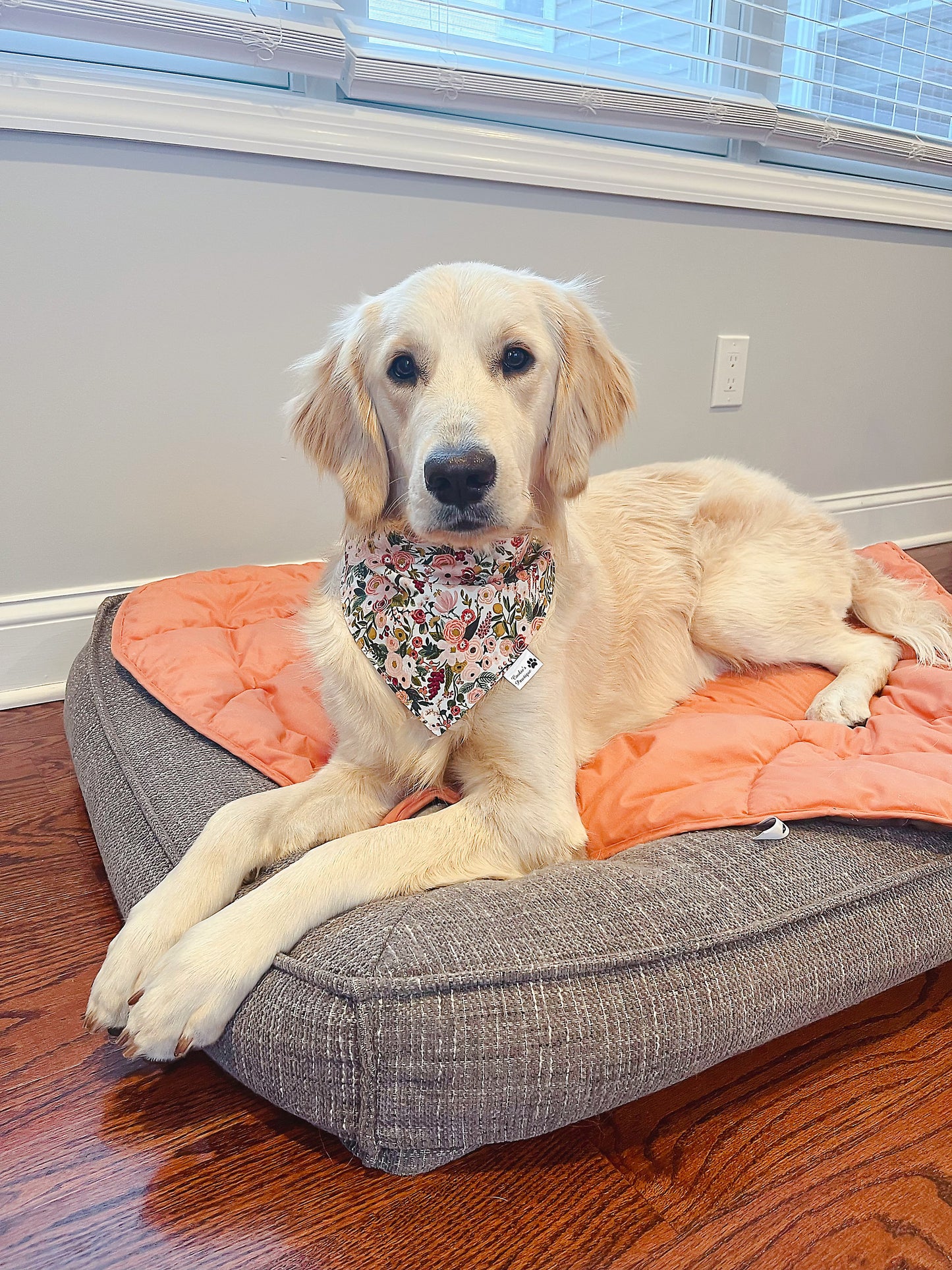 Rose Garden Party Bandana