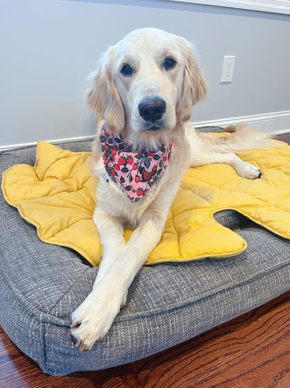 Citrus Floral and Strawberry Bandana