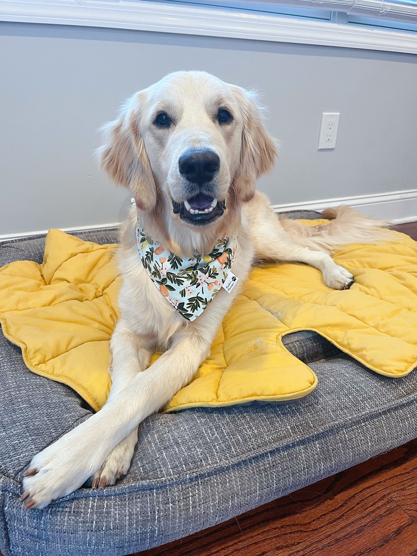 Citrus Floral and Strawberry Bandana